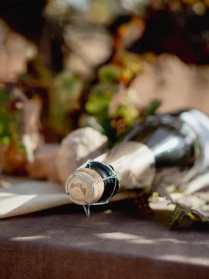 Cava brut Tres Naus Domenio Wines 750 ml