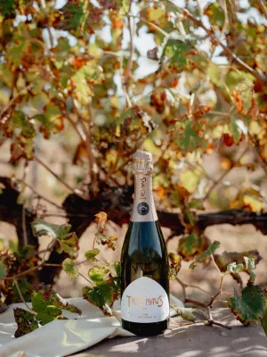 Cava brut Tres Naus Domenio Wines 750 ml