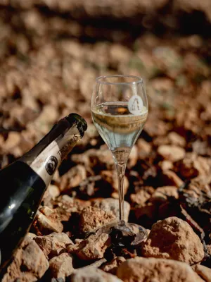 Cava brut nature Tres Naus Domenio Wines 750 ml