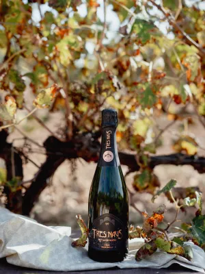 Cava brut nature Tres Naus Reserva Domenio Wines 750 ml