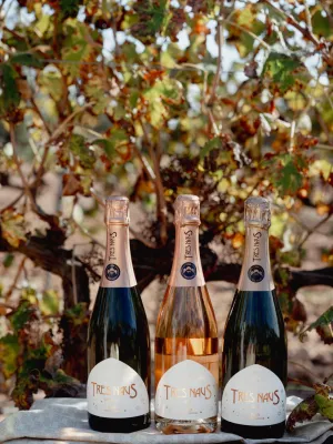 Cava rosat brut Tres Naus Pàl·lid Domenio Wines 750 ml