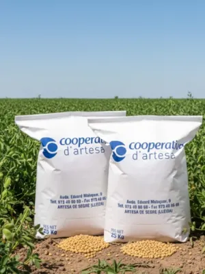 Cigró Km 0 Cooperativa d'Artesa de Segre