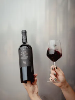 Vi negre Clos Gebrat Criança Vinícola Priorat