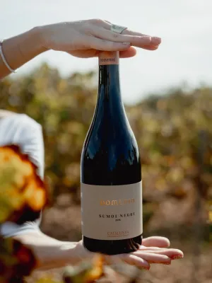 Vi negre Sumoi Domenio Wines 750 ml
