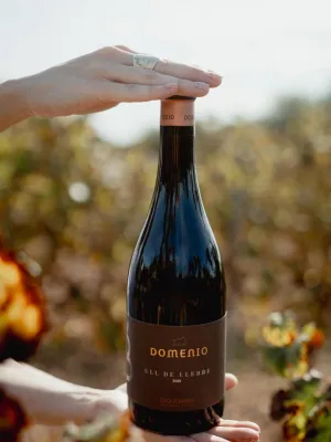 Vi negre Ull de Llebre Domenio Wines 750 ml