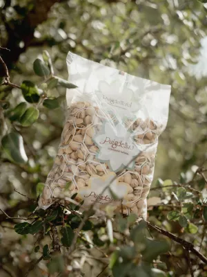 Festucs deshidratats Puigdellívol