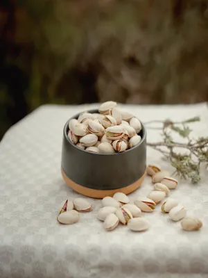 Festucs deshidratats Puigdellívol