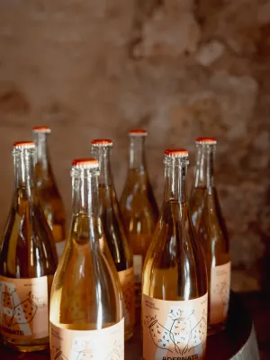 Lot Ancestrals Vinícola Nulles 750 ml