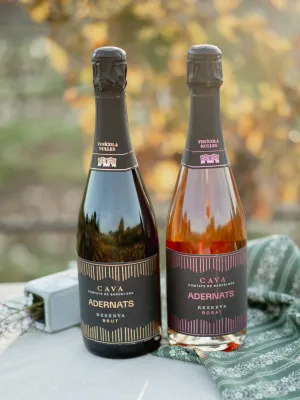 Lot Caves Reserva Vinicola Nulles 750 ml