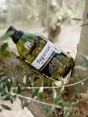 Lot Entre Vinyes i oliveres Celler de La Granada
