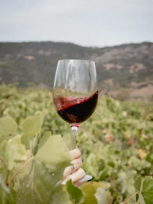Lot Vinya i Vermut Agrícola Ulldemolins Sant Jaume