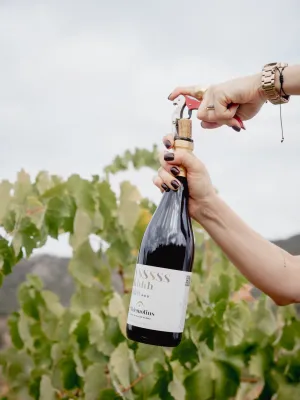 Lot Vinya i Vermut Agrícola Ulldemolins Sant Jaume
