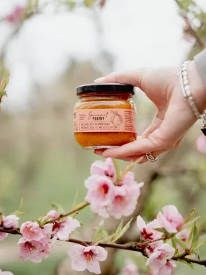 Melmelada artesana de préssec Fruits de Ponent 250 g