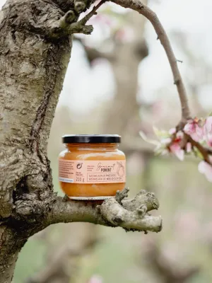 Melmelada artesana de préssec Fruits de Ponent 250 g