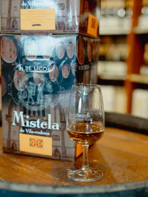 Mistela bag in box Celler Vila-rodona 5 l