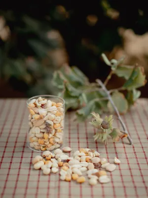 Mix fruita seca Infrusec Avellanera