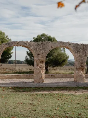 Oli d'Oliva Verge Extra Clot de l’hora Cellers Domenys 5 l