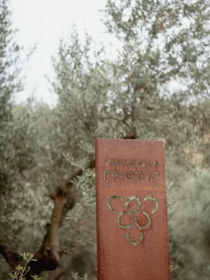 Oli d'oliva verge extra Pedra de Molí Vinícola Priorat