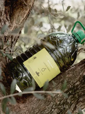 Oli d’Oliva Verge Extra Ecològic garrafa l’Or de Ponent Fruits de Ponent