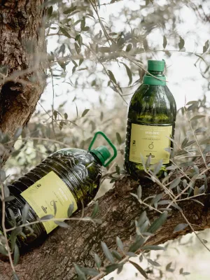 Oli d’Oliva Verge Extra Ecològic garrafa l’Or de Ponent Fruits de Ponent