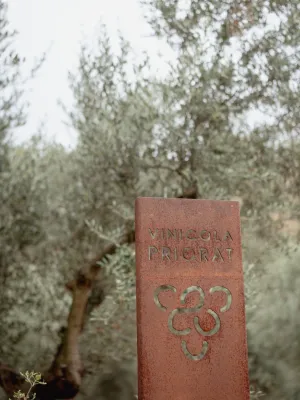 Oli d'oliva Verge extra Molí Nou Vinícola del Priorat