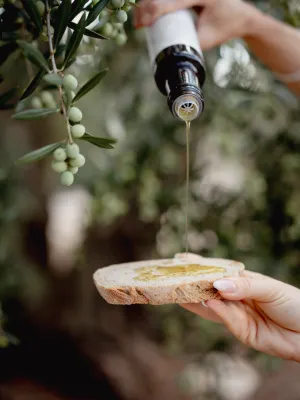 Oli verge extra Silvaurum Avellanera