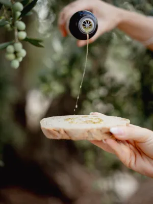 Oli verge extra Silvaurum Avellanera