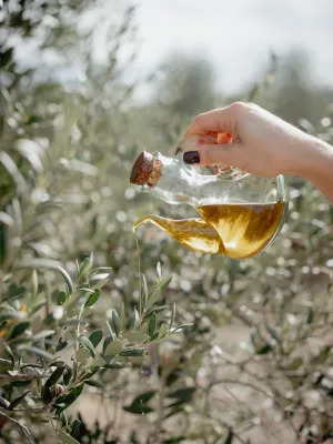 Oli d'Oliva Verge Extra ecològic La Llena garrafa  Agrícola Ulldemolins Sant Jaume
