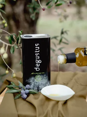 Oli verge extra Llauna Degustus 1 l