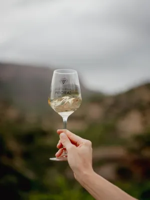 Vi blanc Ònix Clàssic blanc Vinícola Priorat