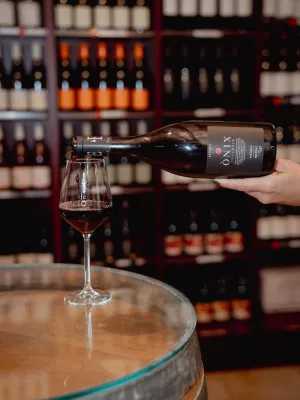 Vi negre Ònix Evolució Vinícola Priorat