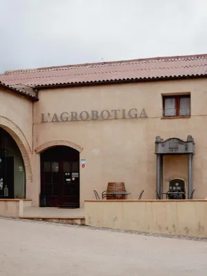 Vi negre Ònix Evolució Vinícola Priorat