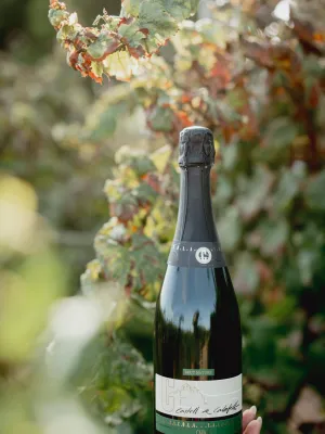 Pack 6 ampolles cava brut nature Castell de Calafell 750 ml