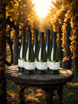 Pack 6 ampolles cava brut nature Ceps 1922 Agrícola de Calafell 750 ml