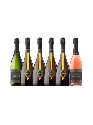 Pack 6 ampolles de Cava de llarga criança Vinícola Nulles 750 ml