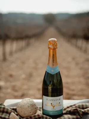 Pack 6 unitats cava brut orgànic Flama d'Or Celler Vila-rodona 750 ml