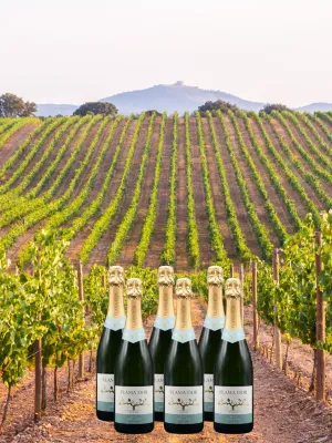 Pack 6 unitats cava brut orgànic Flama d'Or Celler Vila-rodona 750 ml