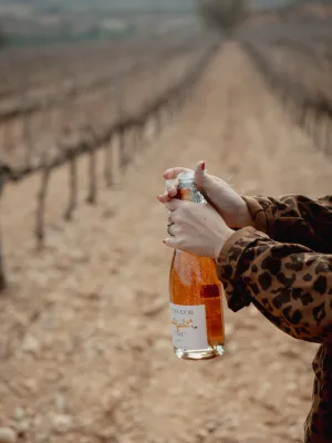 Pack 6 unitats Cava rosat brut Flama d'Or Celler Vila-rodona 750 ml