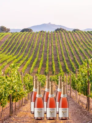 Pack 6 unitats Cava rosat brut Flama d'Or Celler Vila-rodona 750 ml