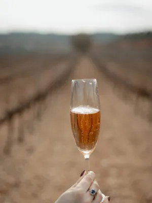 Pack 6 unitats Cava rosat brut Flama d'Or Celler Vila-rodona 750 ml