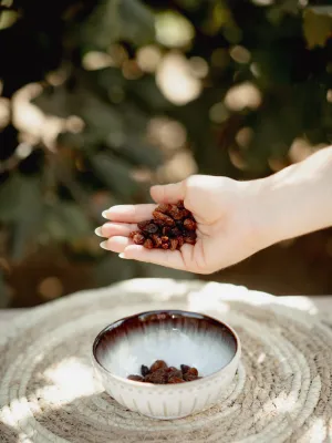 Pansa sense pinyol Infrusec Avellanera