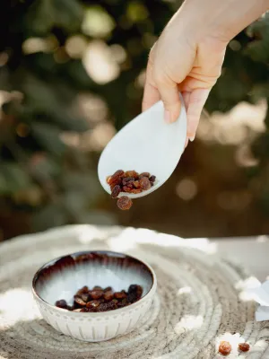 Pansa sense pinyol Infrusec Avellanera