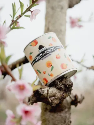 Préssec en almívar Fruits de Ponent 500 g