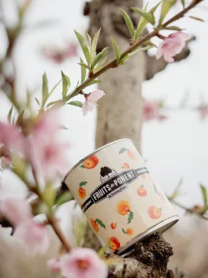 Préssec en almívar Fruits de Ponent 500 g