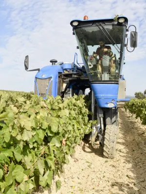 Cava rosat brut Pupitre Agrotast 750 ml