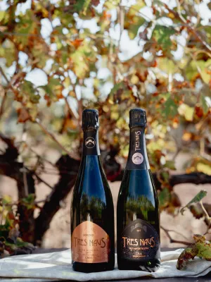Cava brut nature Gran Reserva Tres Naus Domenio Wines 750 ml