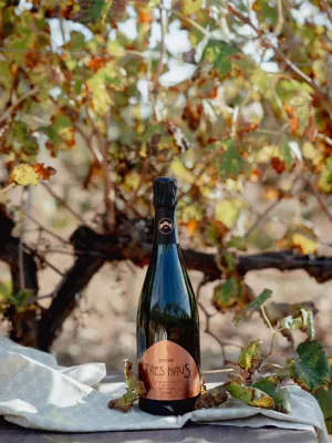 Cava brut nature Gran Reserva Tres Naus Domenio Wines 750 ml