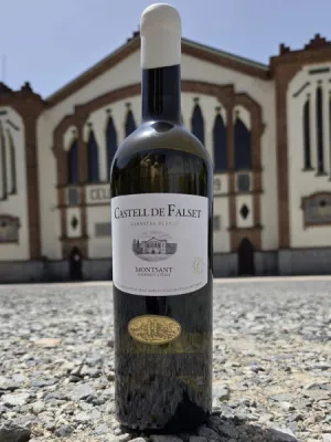 Vi blanc Castell de Falset  Marçà 750 ml