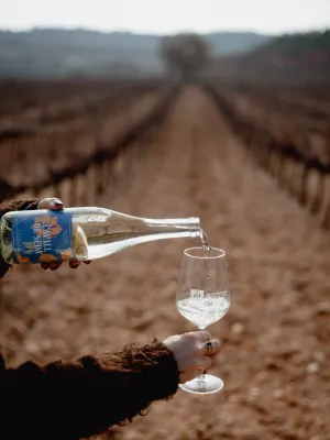 Vi blanc Cavall de Seda Celler Vila-rodona 750 ml