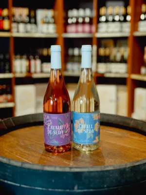 Vi blanc Cavall de Seda Celler Vila-rodona 750 ml